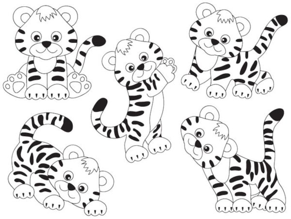 Вырезка Тигренок