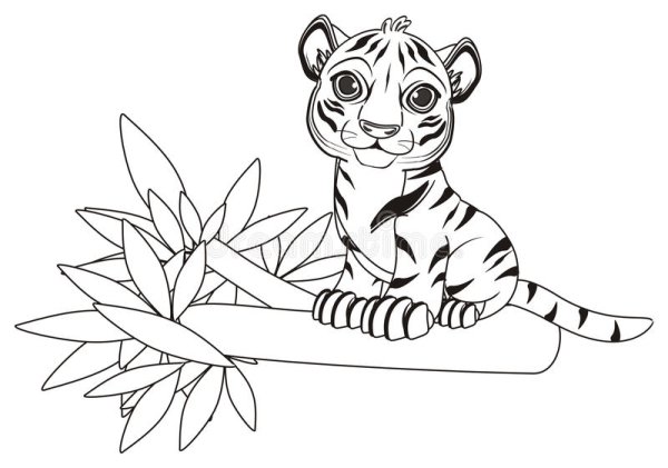 Раскраска для девочек Тигренок