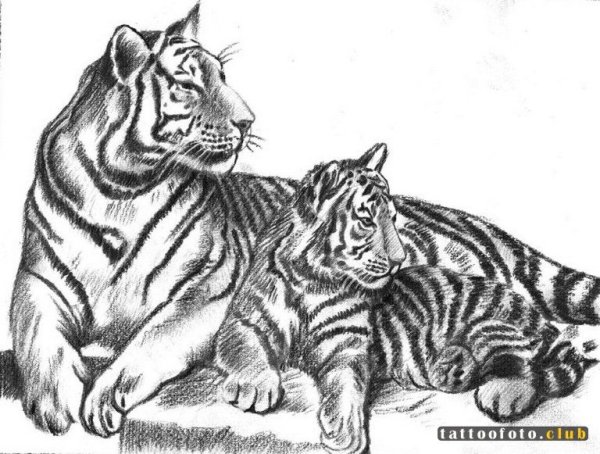 Раскраска тигрица с тигрятами