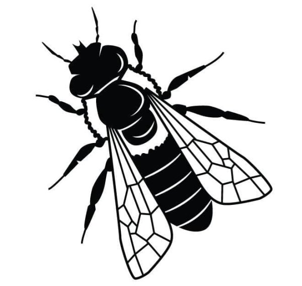 Муха вектор