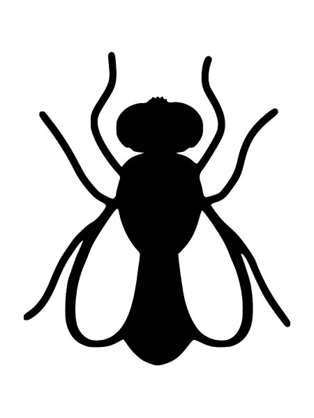 Силуэты насекомых