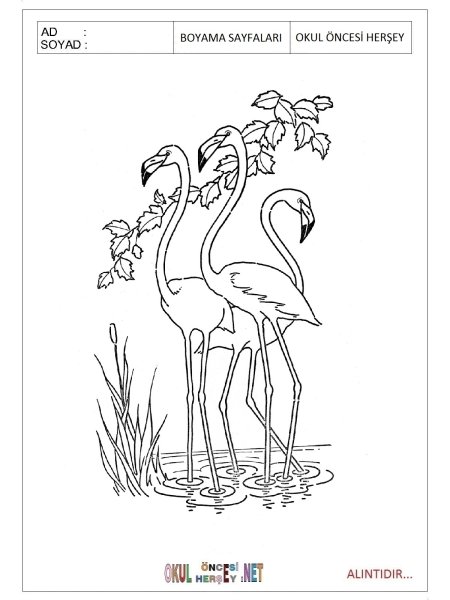 Фламинго разрисовка