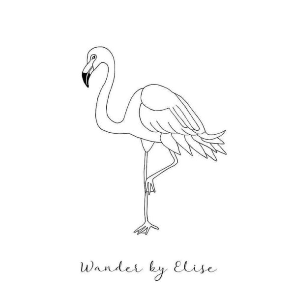 Фламинго набросок