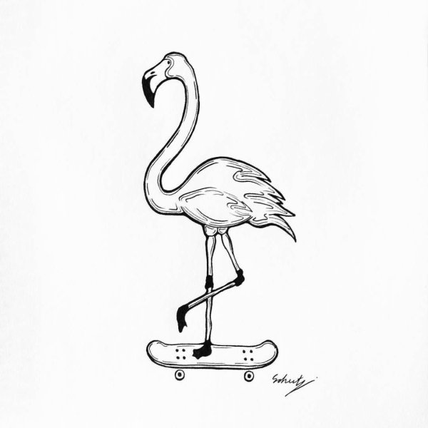 Раскраска птицы Фламинго