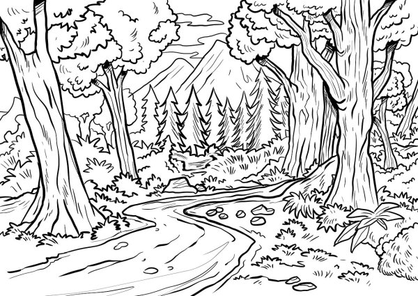 Пейзаж деревья раскраска