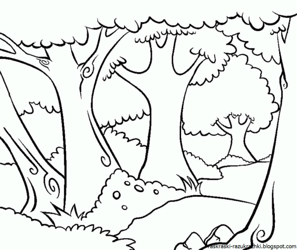 Раскраска леса для детей