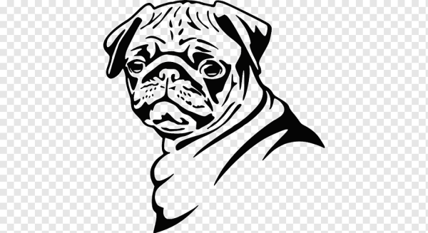 Мопс и белый бульдог