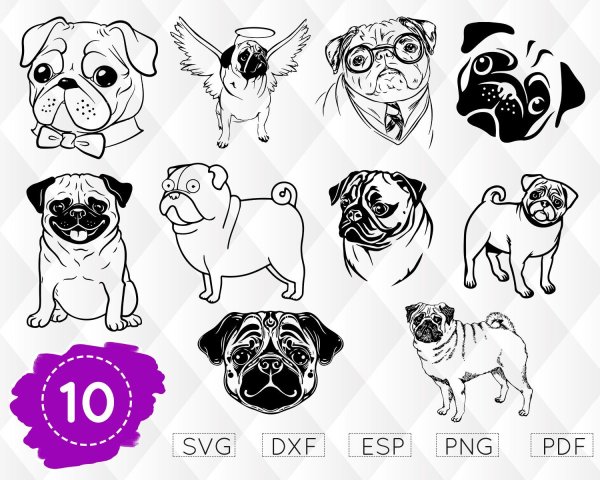 Переводные тату с мопсами