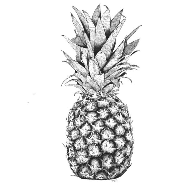 Ананас Постер