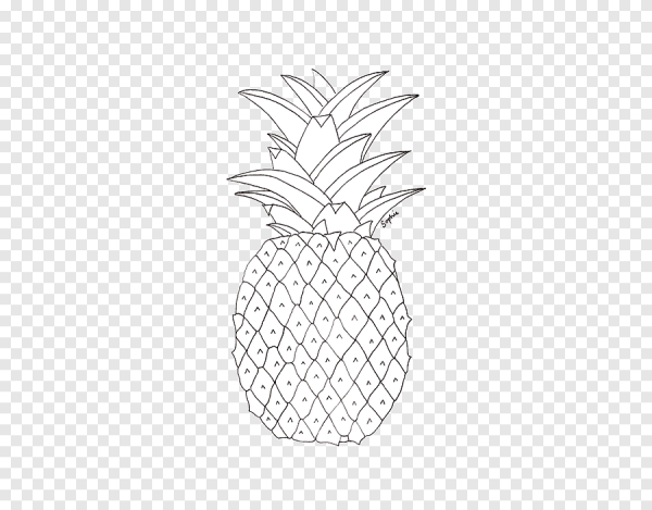 Ананас вектор контур