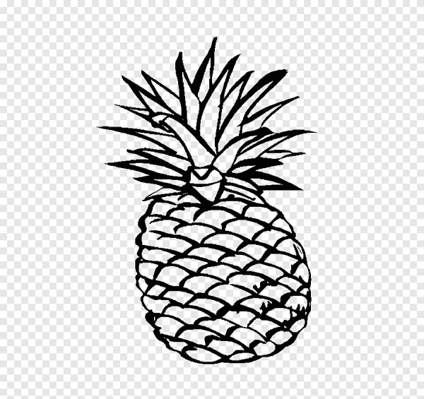Ананас схематично