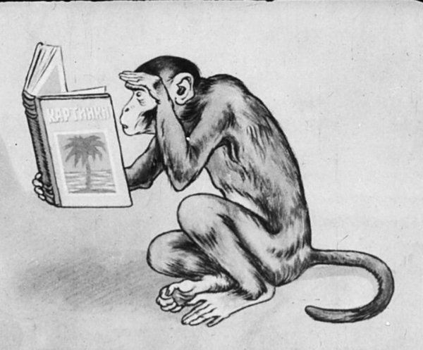 Мартышка и очки