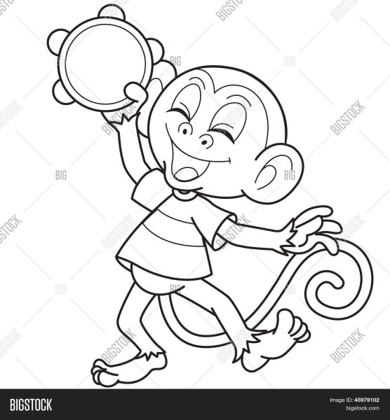 Мартышка и зеркало раскраска