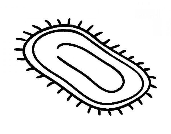 Коврик раскраска для детей