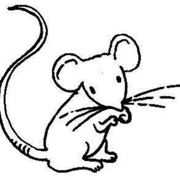 Раскраска мышонок