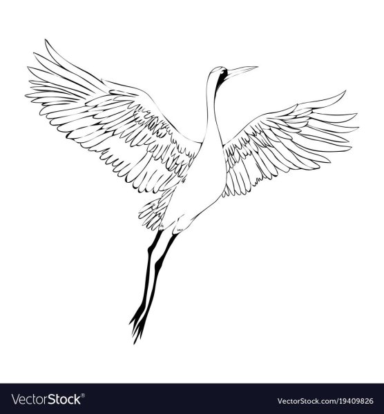 Белый журавль рисунок