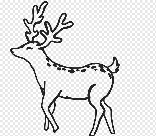 Контур оленя на белом фоне
