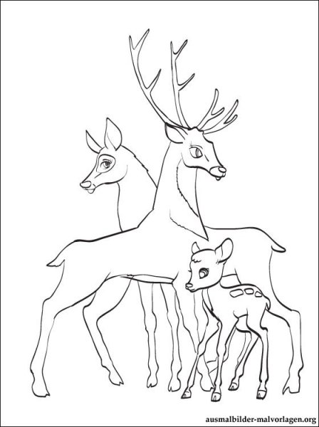 Олень раскраска