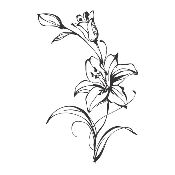 Тату лилии эскизы