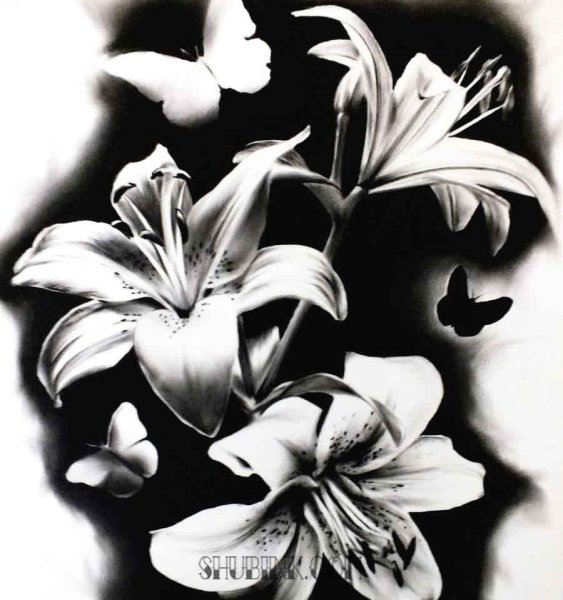 Черно-белый цветок