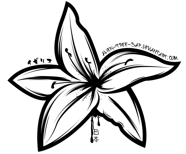 Лилии рисунок