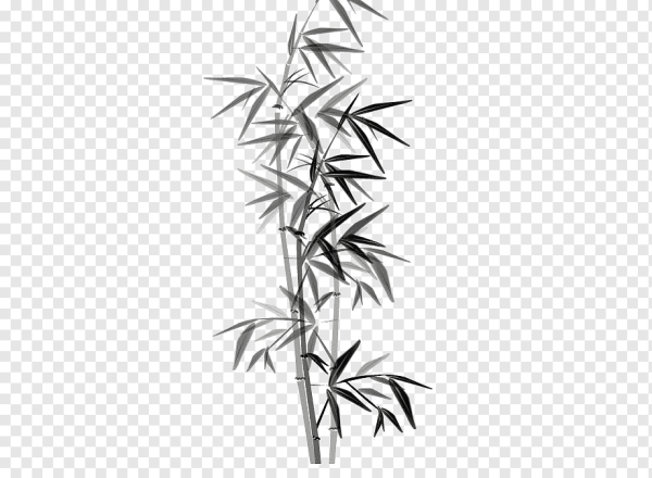 Бамбук рисунок