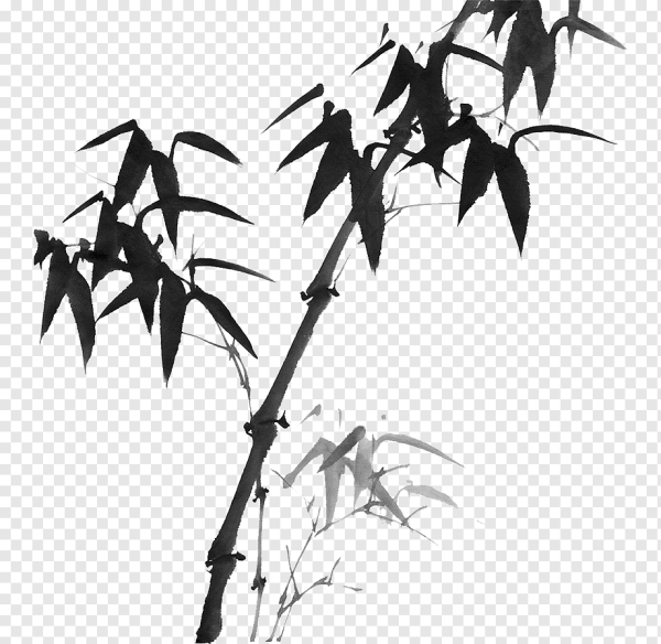 Трафарет бамбука на стену