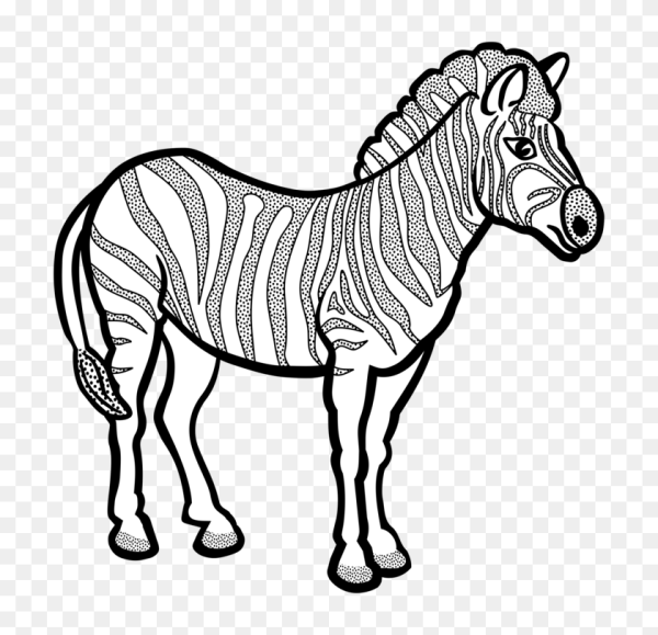 Зебра карточка для детей