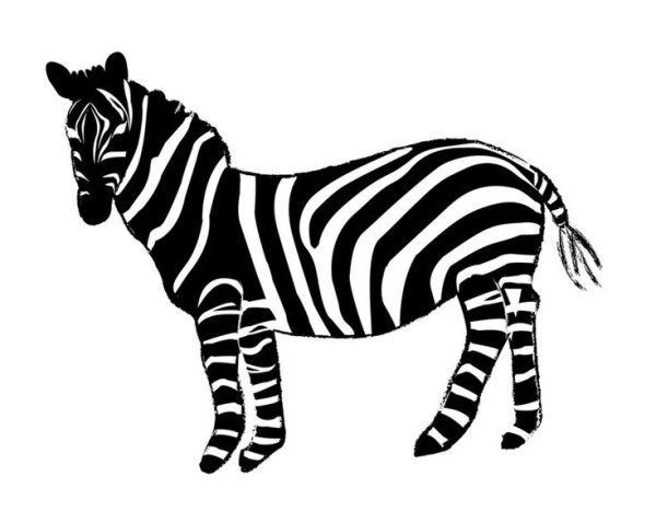 Зебра раскраска