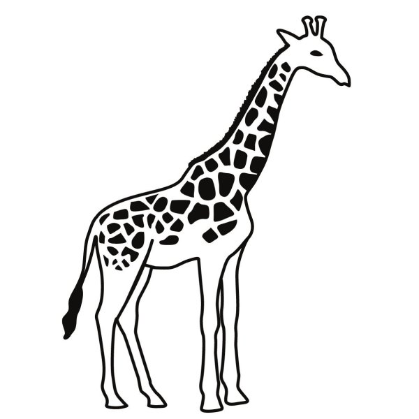 Раскраски жирафа для детей