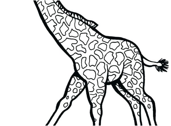 Силуэт жирафа для раскрашивания