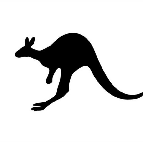 Трафарет кенгуру