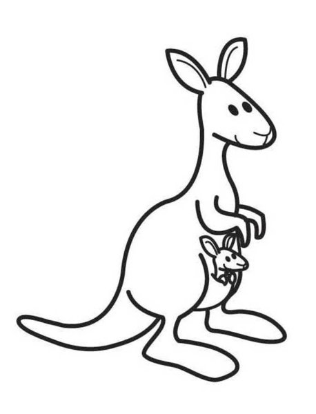 Кенгуру рисунок для детей