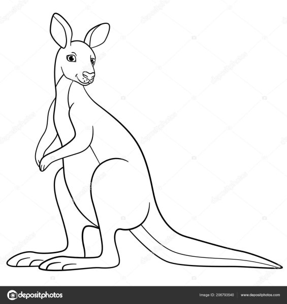 Кенгуру для детей черно белая