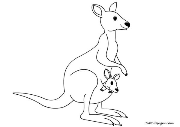 Животные зоопарка раскраски для детей кенгуру