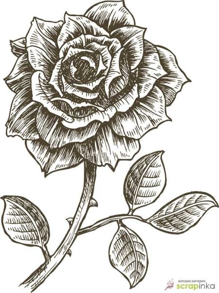 Распечатки для скрапбукинга чб цветы