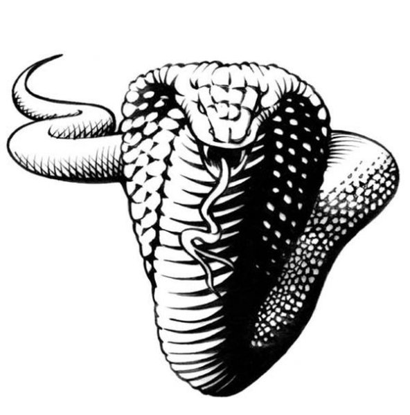 Кобра тату эскиз