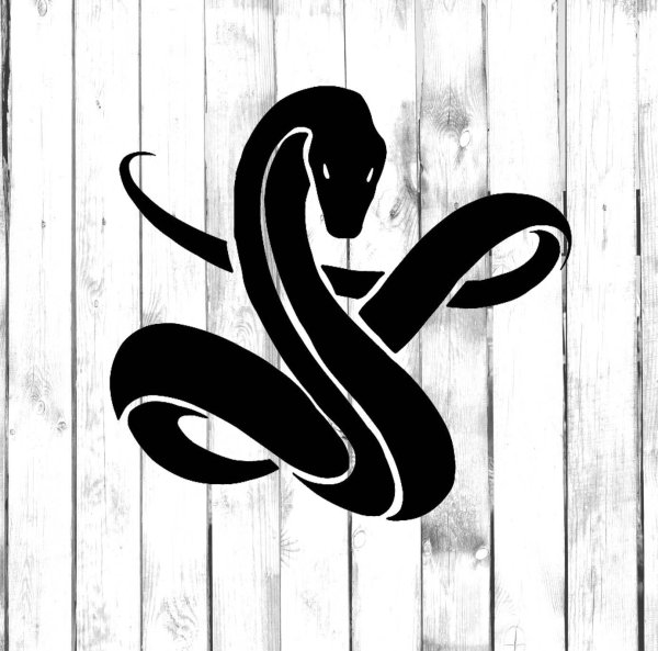 Стилизованное изображение змеи