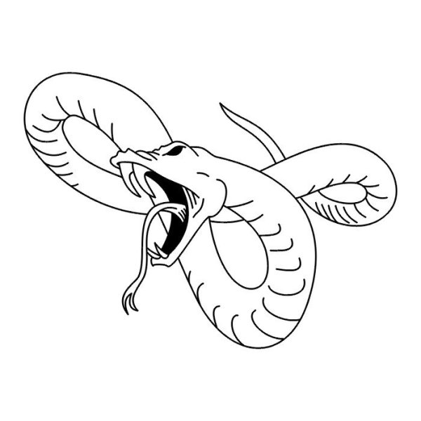 Змея контур эскиз