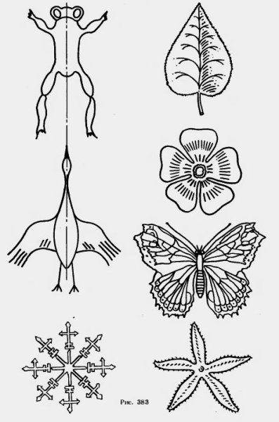 Симметрия в природе и на практике