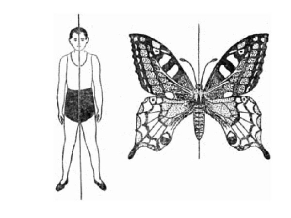Осевая симметрия