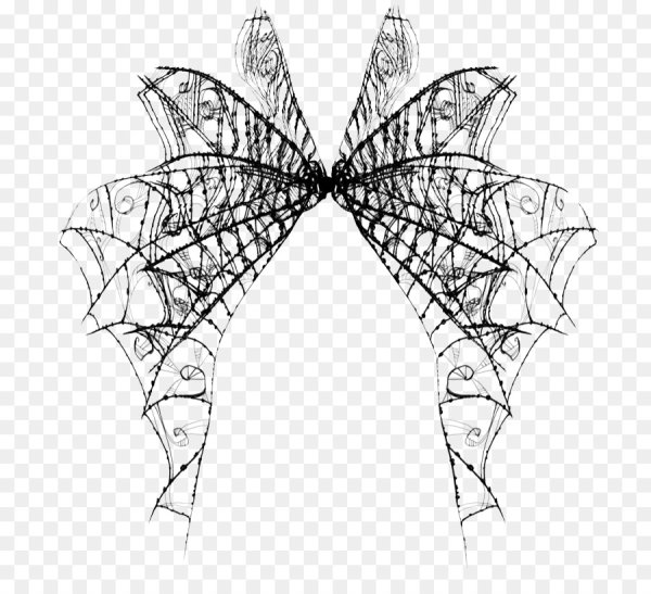 Крылья симметрия