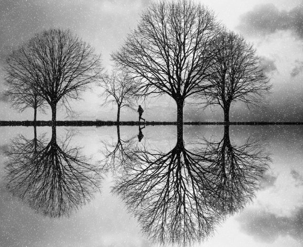 Отражение в воде симметрия