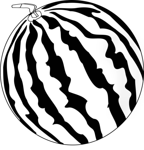 Арбуз вектор черно белый