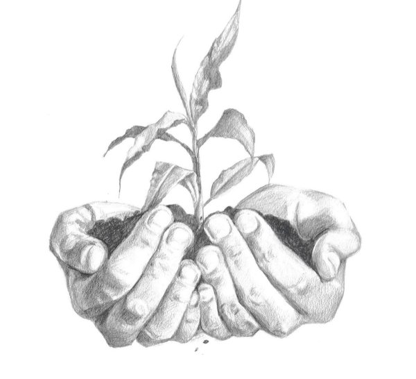 Ладони держат рисунок