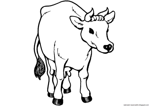 Теленок раскраска