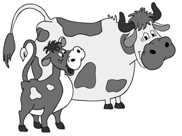 Корова раскраска для детей