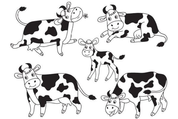 Корова чёрно белая