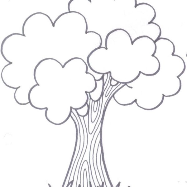Дерево раскраска