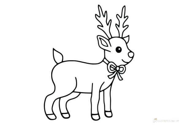 Раскраска оленя для детей старшей группы